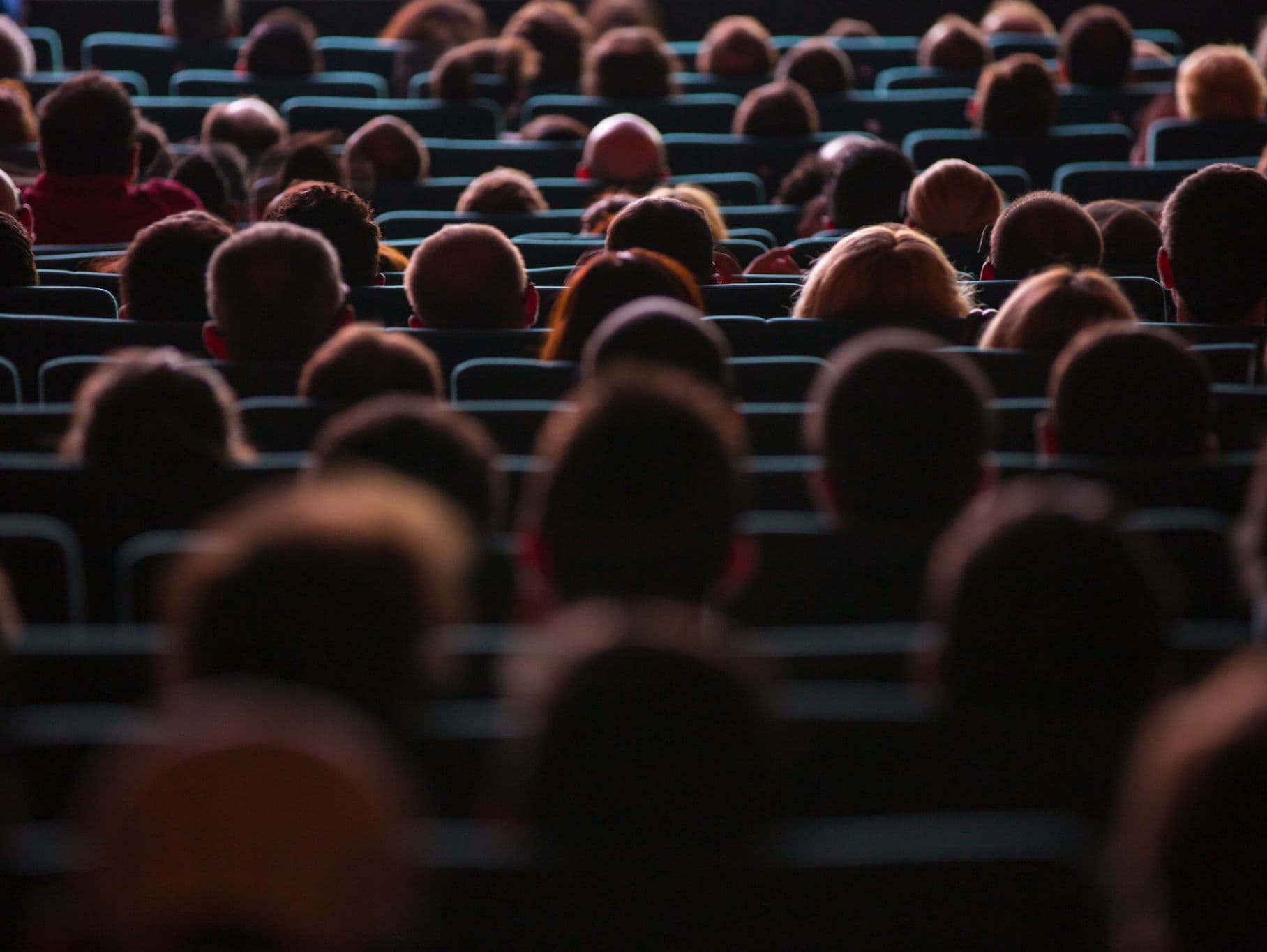 Film Studies: Cinema and So Much More