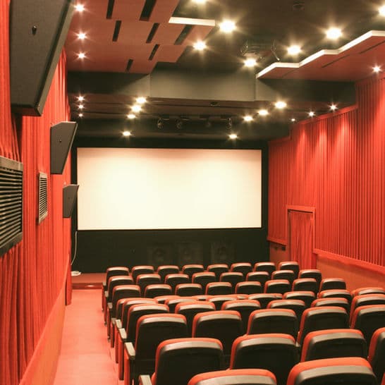 Shiva Preview Theatre